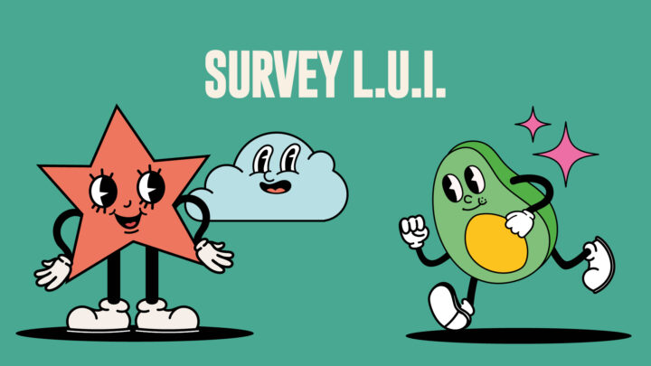 Survey L.U.I. 2025