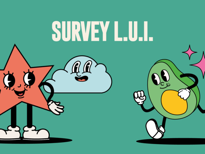 blog e media_survey lui