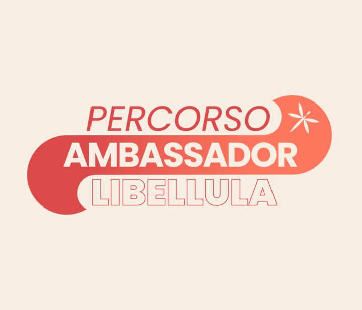 Percorso Ambassador 2026