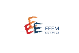 Fondazione Eni Enrico Mattei (FEEM)
